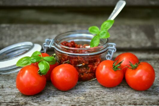 Pomodori secchi Ciliegino- Bio Arance Alesci